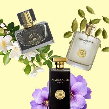 Discover the World of Fragrance Notes: A Guide for Every Occasion