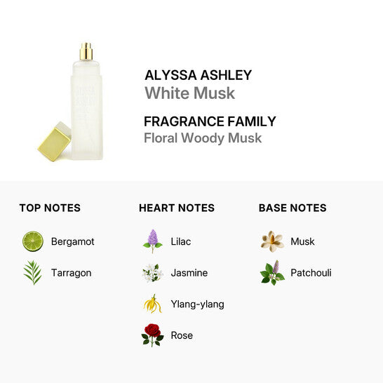Alyssa Ashley White Musk