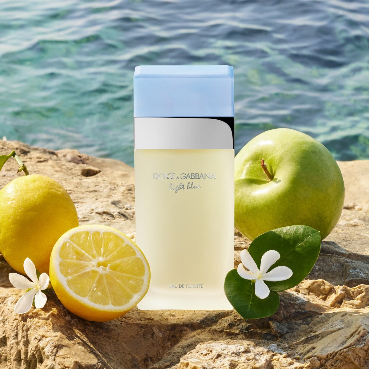 Dolce & Gabbana Light Blue