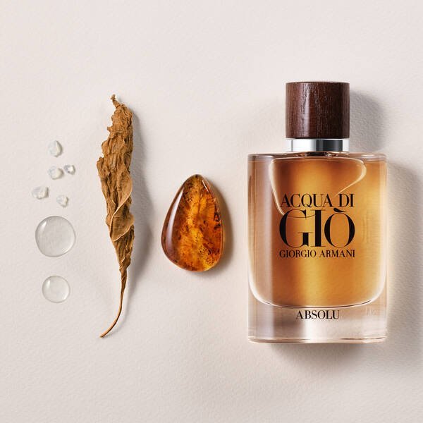 Giorgio Armani Acqua di Gio Absolu