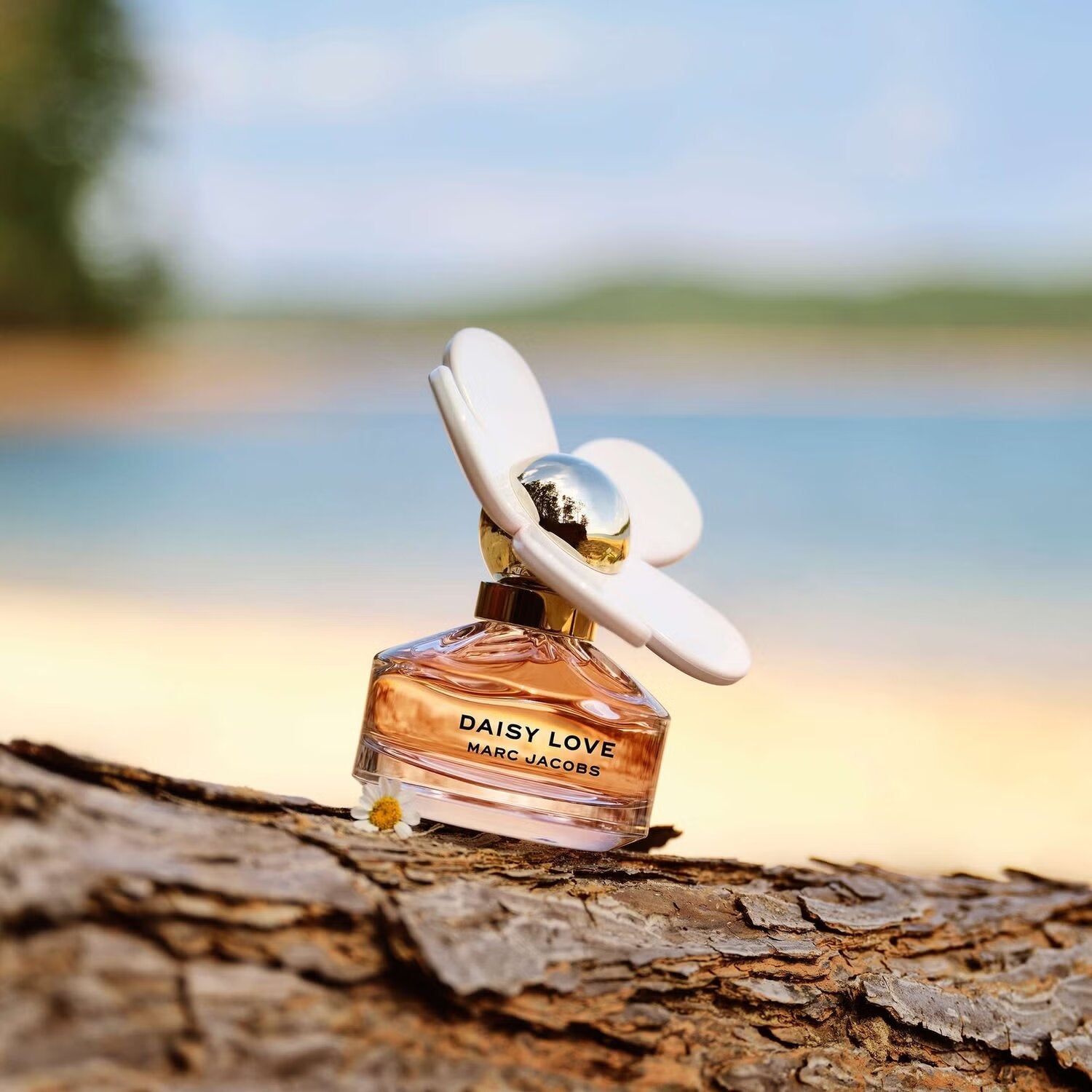 Marc Jacobs Daisy Love-100 ml | #size_100 ml