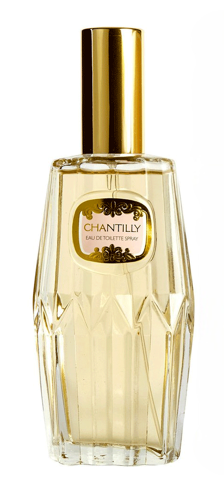 Dana Chantilly-105 ml | #size_105 ml