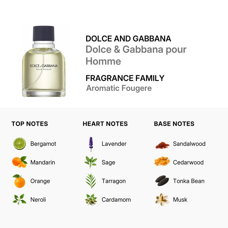 Dolce & Gabbana Pour Homme