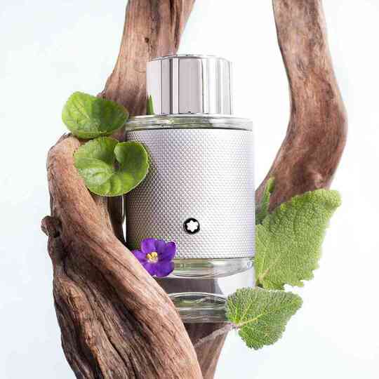 MontBlanc Explorer Platinum-30 ml | #size_30 ml