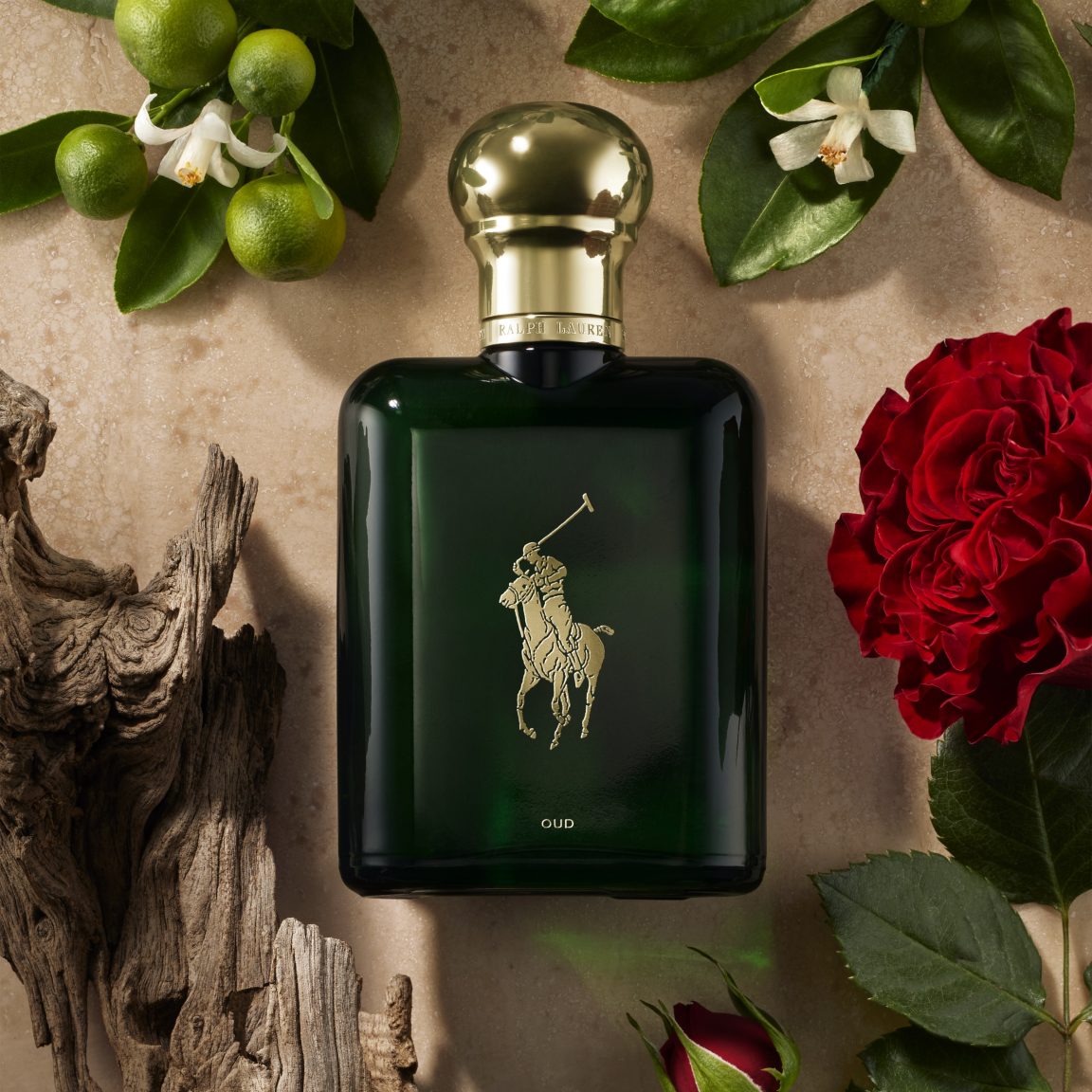 Polo Oud