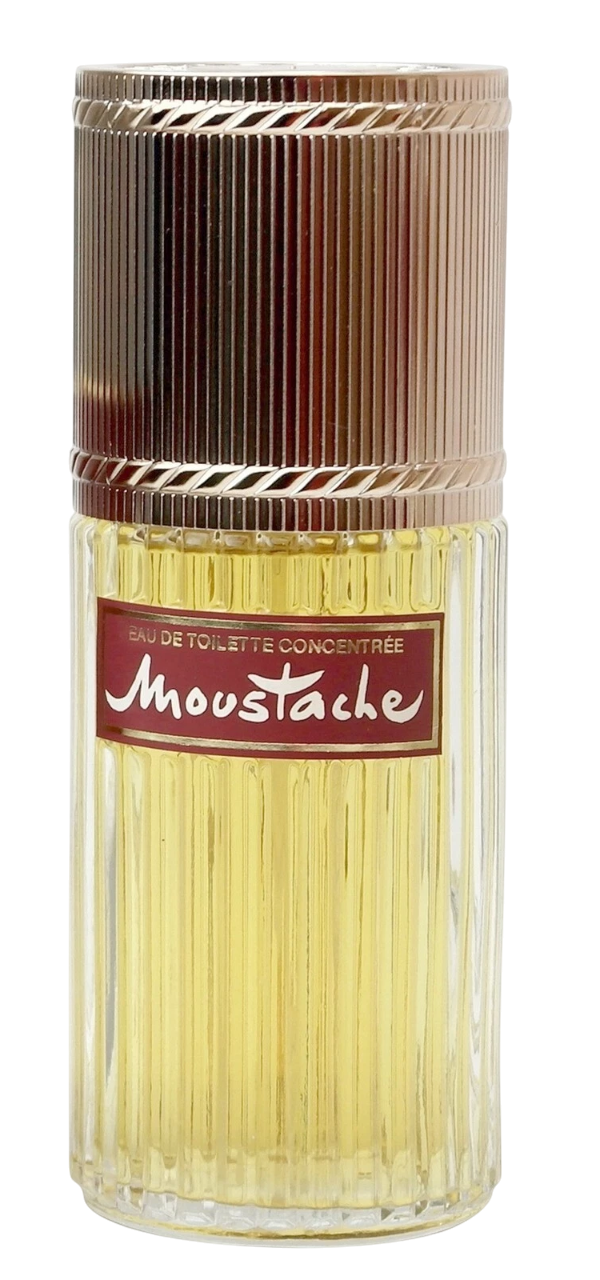 Moustache for Men 3.4 Oz / 100 Ml.